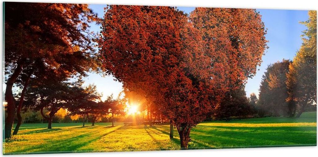 Bilder auf glas - Baum Park Frühling Herz - 120x50cm - Glasbilder - Wandbilder - Kunstdruck - zum Aufhängen bereit - Wanddekoration aus Glas - Gl...