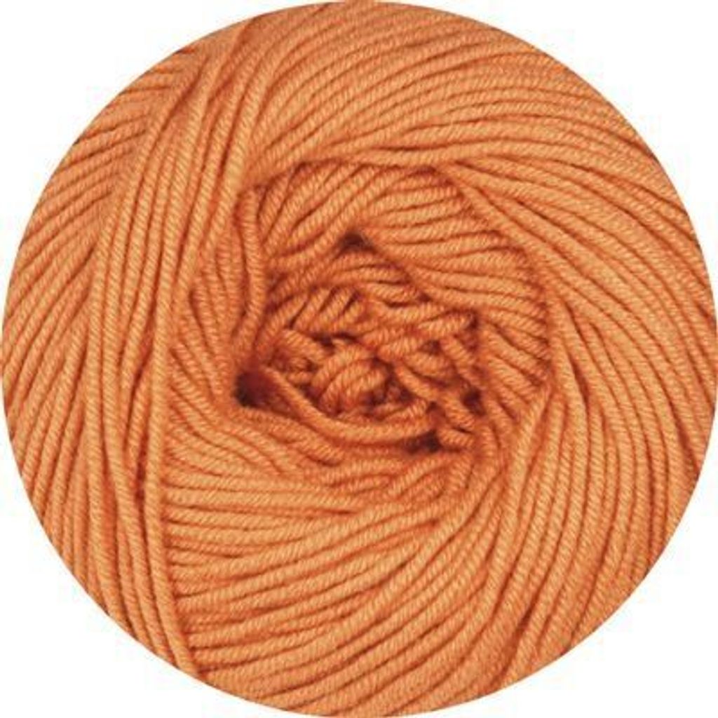 ONline - Linie 462 Parnass 0011