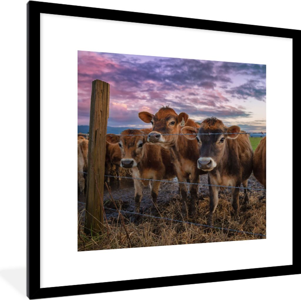 MuchoWow Gerahmtes Poster Kuh - Tiere - Kühe 40x40 cm - Poster mit Schwarzem Bilderrahmen Wandposter Rahmen Foto Bilder - Poster - Plakat im Rahmen