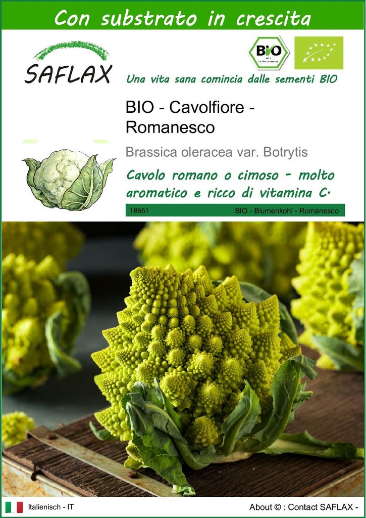 SAFLAX  -- Cavolfiore - Romanesco - 50 semi - Con substrato Immagine del prodotto 