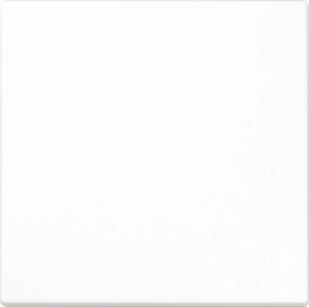 Enjoliveur de commande blanc LS1700WW pour interrupteur JUNG LS990 Std. - 3