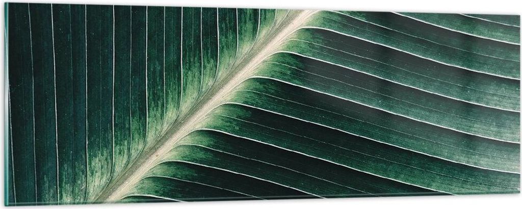 Bilder auf glas - Einteilig - Grün Blatt Tropisch - 90x30cm - Glasbilder - Wandbilder - Bilder - zum Aufhängen bereit - Wanddekoration aus Glas -...