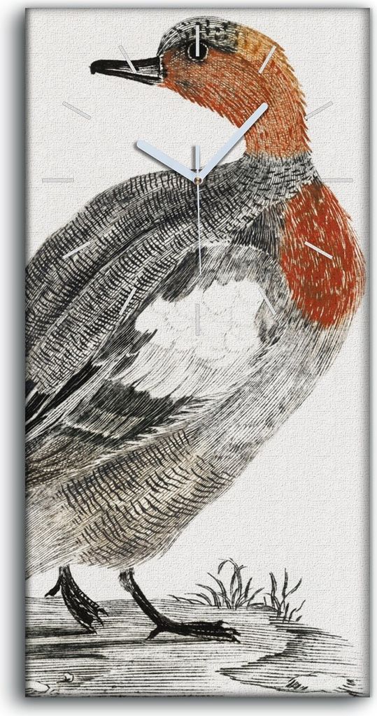 Leinwand Wanduhr Wandkunst Uhr Geräuschlos 30x60 Zeichnung Tier Vogel Ente Kunst - weiße Hände