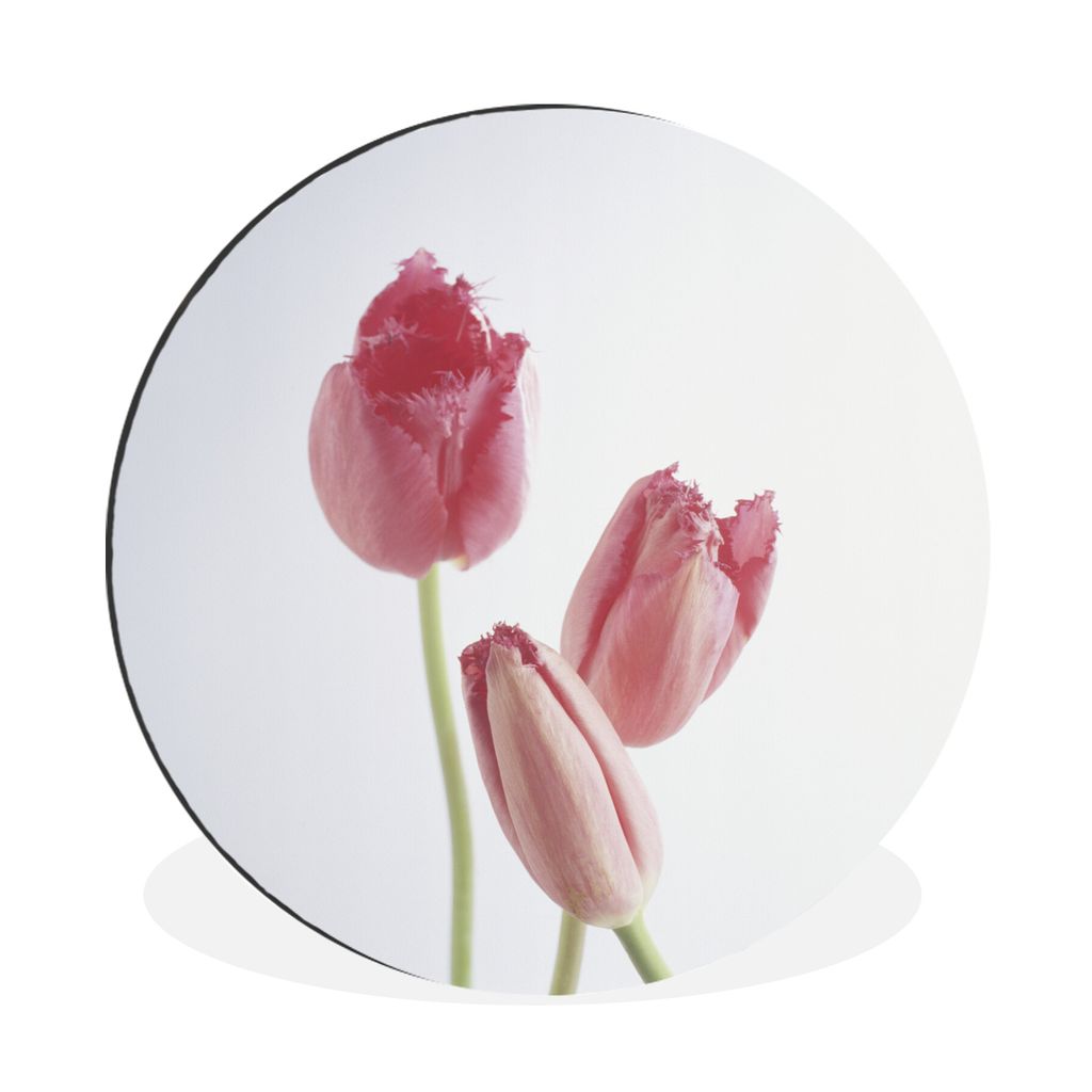 MuchoWow Aluminium Wandkreis Drei rosa Tulpen Ø 30 cm Wanddeko Modern Wohnzimmer - Wand Bild - Wohnzimmer - Runde Bilder - Alubilder - Kunst fü...