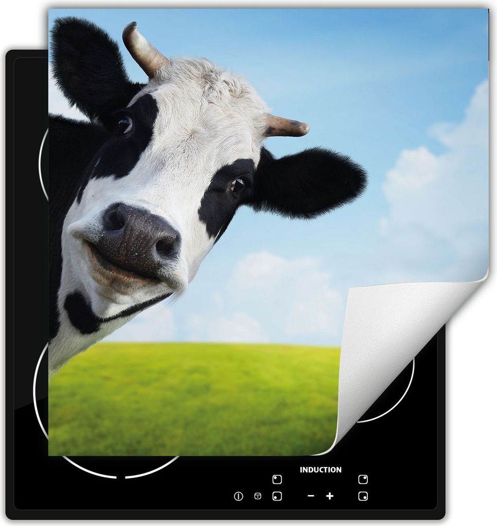 DarHaus Herdabdeckplatte 50x52 cm Anti Rutsch Matte Aufrollbar, Kuh