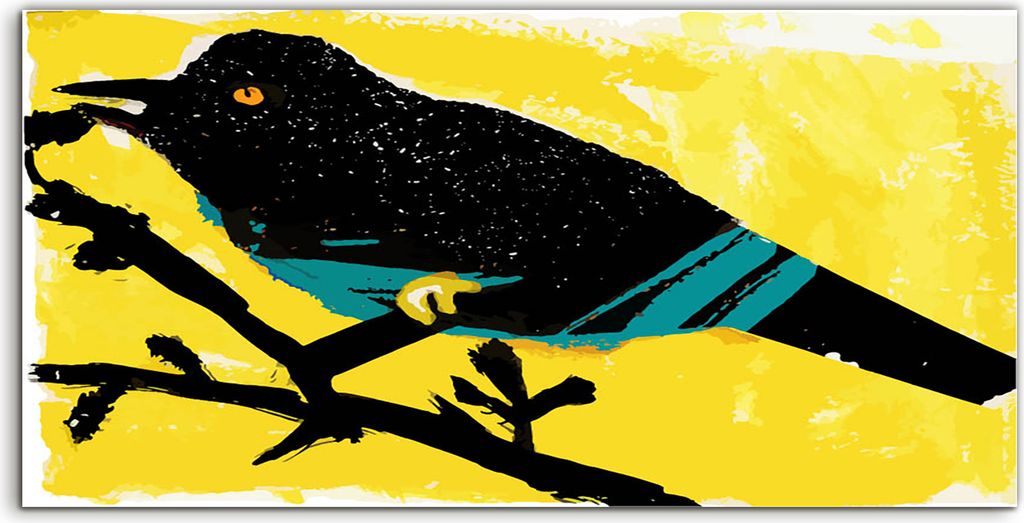 Coloray Acrylbild 100x50 Wandbild Acrylbilder schwarzer Vogel mit blauen Streifen