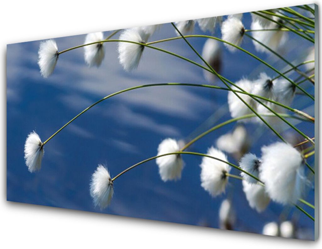 Acrylglasbilder 100x50 Wandbild Druck Blumen Pflanzen