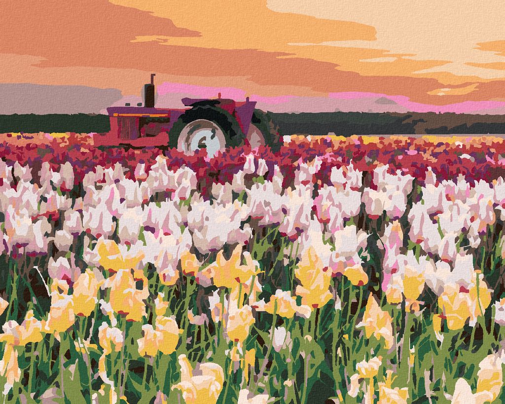 Zuty - Malen nach Zahlen - TULPEN AUF EINEM FELD (TED DAVIS), 40x50 cm, mit Keilrahmen (bereits gespannt)