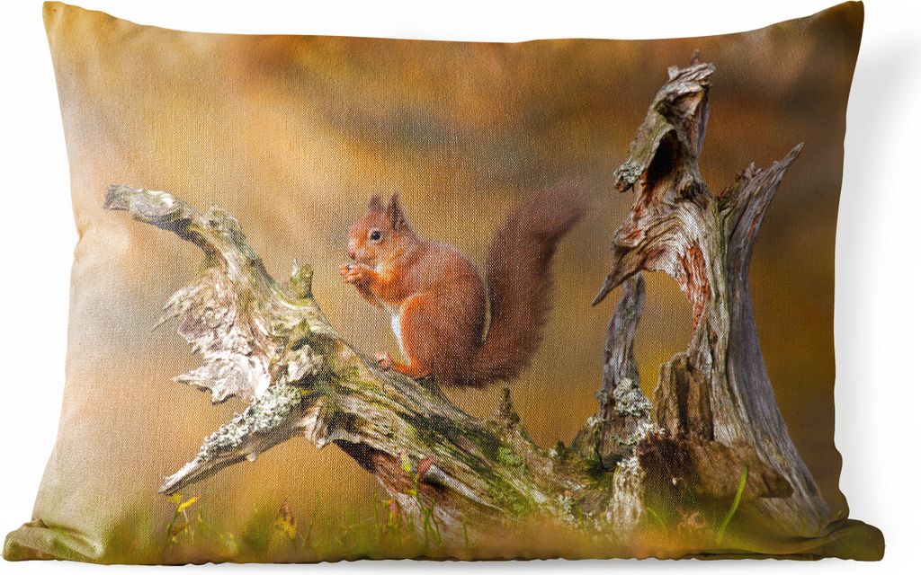 MuchoWow Outdoor Kissen - Rotes Eichhörnchen im Herbst - 60x40 cm - Wetterfest - Lounge Kissen - Zierkissen - Kissen für Innenräume