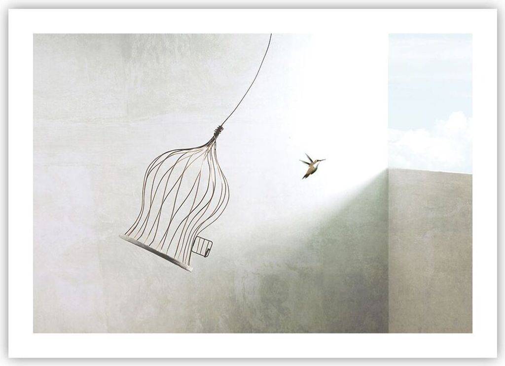 Poster - Poster ohne Rahmen - Flug Vogel Käfig - 70x50 cm - Wand Bild - Wanddeko - Wandbilder - Kunstposter - Wandposter - Bilder - Kunstdruck - W...
