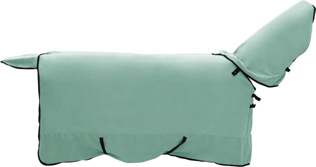 vidaXL Pferdedecke Sondergrün Polyester