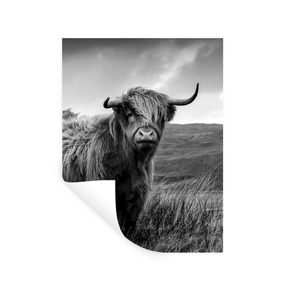 MuchoWow Wandtattoo Wandsticker Wandaufkleber Schottischer Highlander - Berg - Wasser - Natur - Kuh 60x80 cm Selbstklebend und Repositionierbar -...