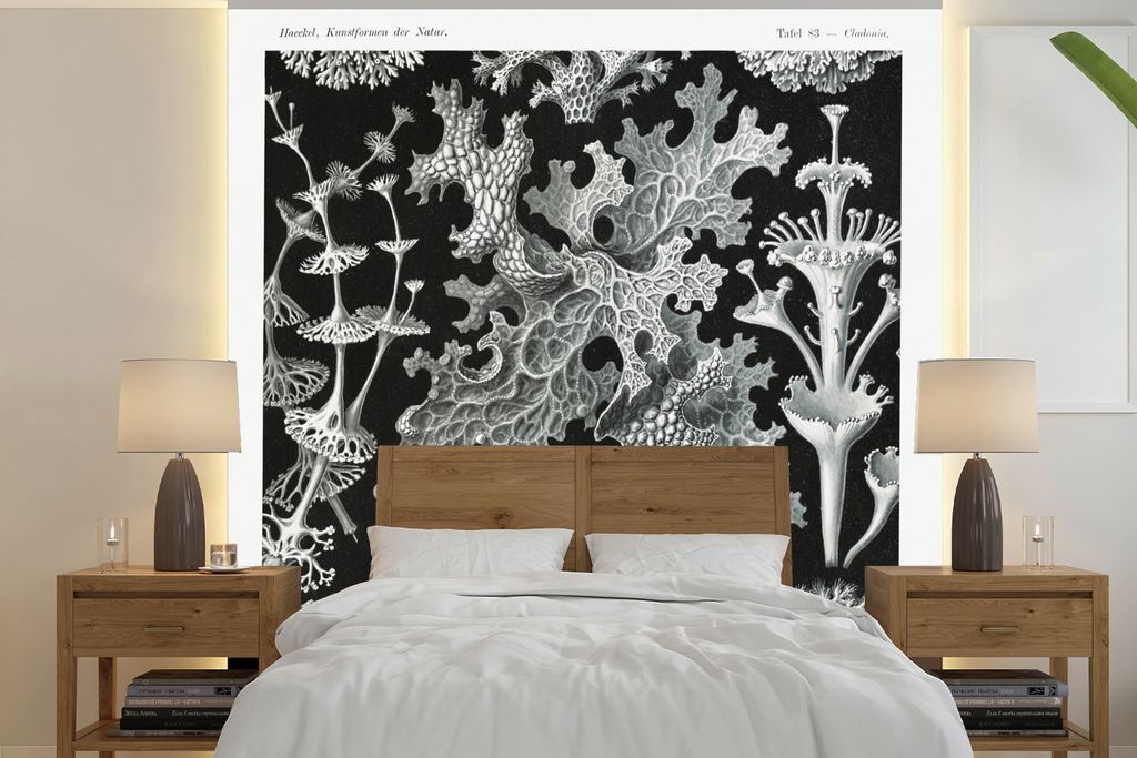 MuchoWow Fototapete für Wohnzimmer oder Schlafzimmer Wandtapete Vinyl Motivtapete Kunst - Koralle - Ernst Haeckel - Alte Meister - Natur - 240x2...