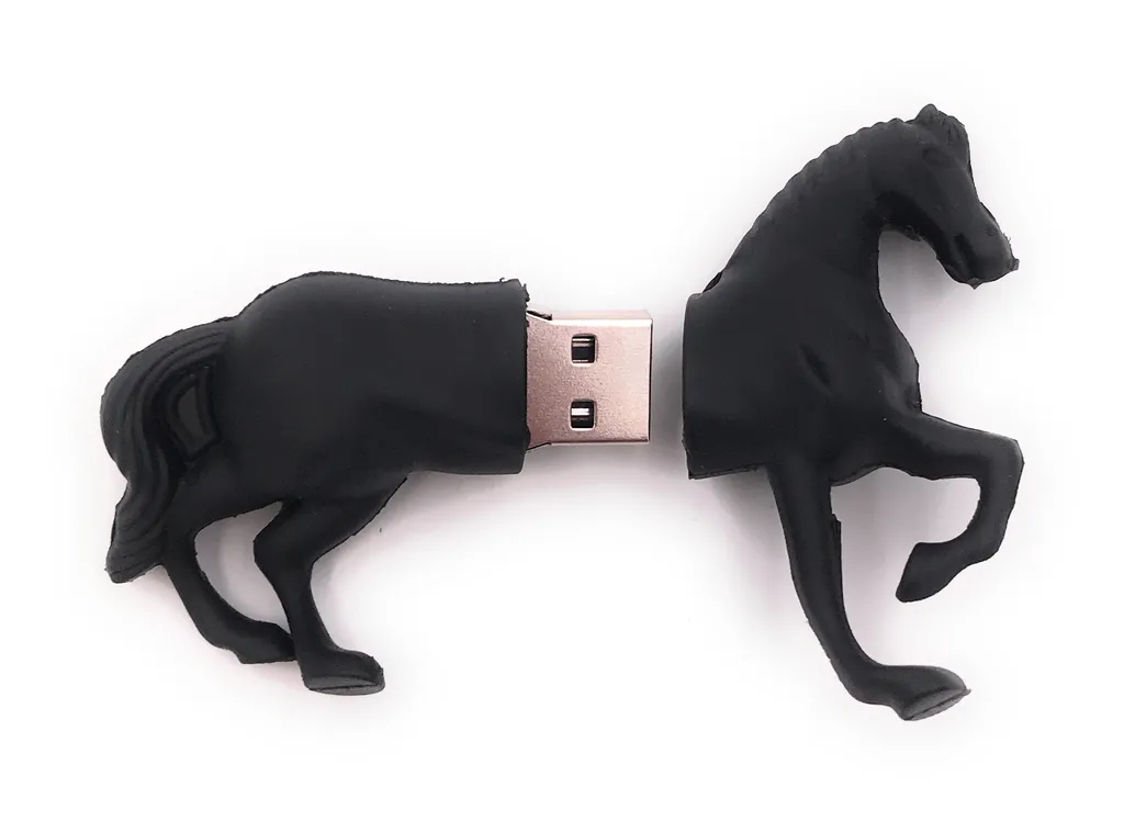 Ne perdez plus vos données : Clé USB 128 Go Cheval Noir USB 3.0 Fiable - 3