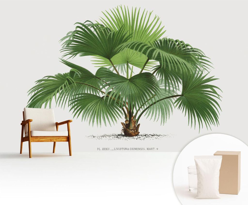 Fototapete - 416x254 cm - Tapete - Wandtapete - Wandbilder - Dekofolie - Tapete Folie - Wand - Dekoration - Wohnzimmer - Exotische Palme