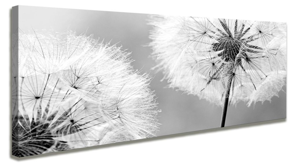 Visario Leinwandbild Pusteblume 120x40 cm – Bild Wandbild Produktbild 