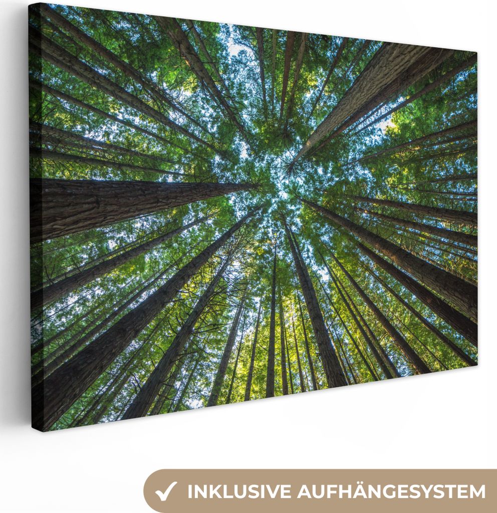 OneMillionCanvasses - Leinwandbilder - 150x100 cm, Wald - Laub - Bäume, Wandbilder Kunstdruck Wanddekoration