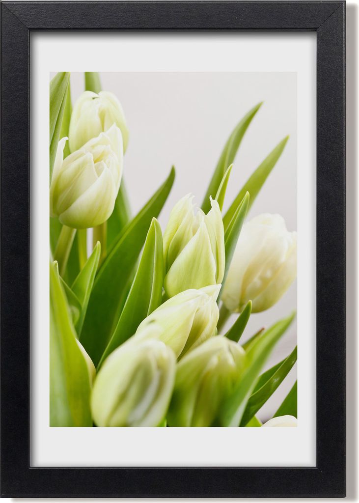 Bild 20x30 MDF-Rahmen, Wandkunst Weiße Tulpen
