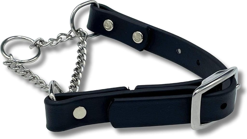 Martingale Hundenhalsband aus Biothaan mit rostfreier Hardware - Professionelle Qualität für Hunde