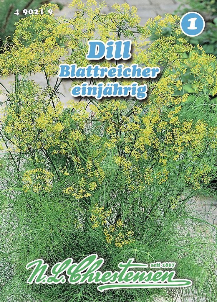 Dill Gewöhnlicher Blattreicher | Dillsamen von N.L. Produktbild 