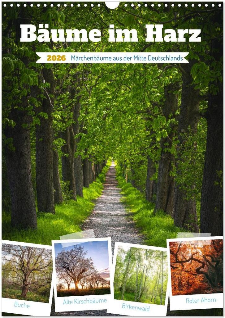 Bäume im Harz (Wandkalender 2026 DIN A3 hoch), CALVENDO Monatskalender