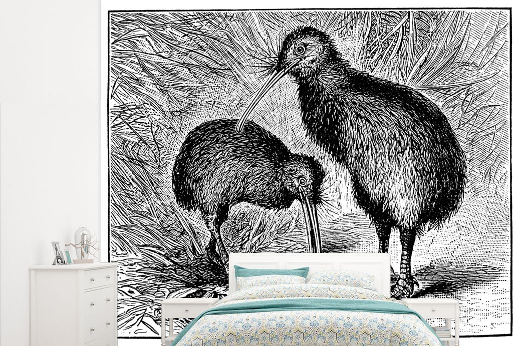 MuchoWow Fototapete für Wohnzimmer oder Schlafzimmer Wandtapete Vinyl Motivtapete Schwarz-Weiß-Illustration von zwei Kiwi-Vögeln - 265x220 cm ...