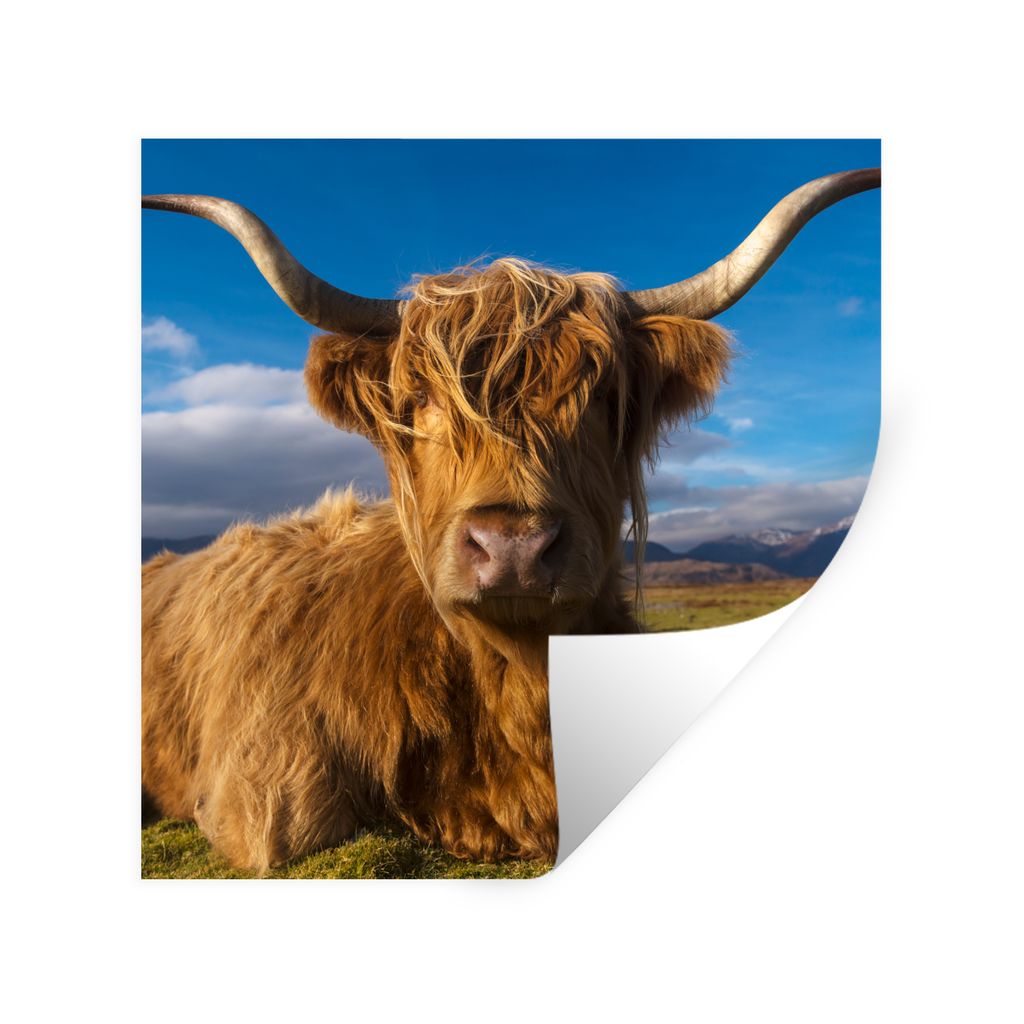 MuchoWow Wandtattoo Wandsticker Wandaufkleber Schottische Highlander - Tiere - Gras 30x30 cm Selbstklebend und Repositionierbar - Repositionierba...