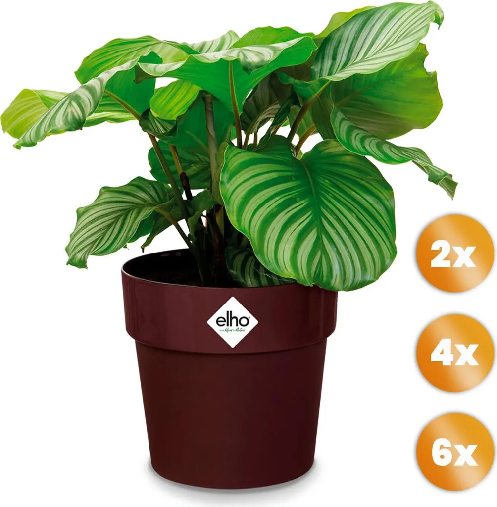 Pot de fleurs Mûre 30x27 cm en plastique robuste et design pour fleurs