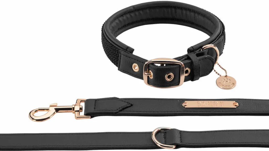 Set Cane Eskadron Heritage 24/25 Nero: Collare e Guinzaglio Faux Leather