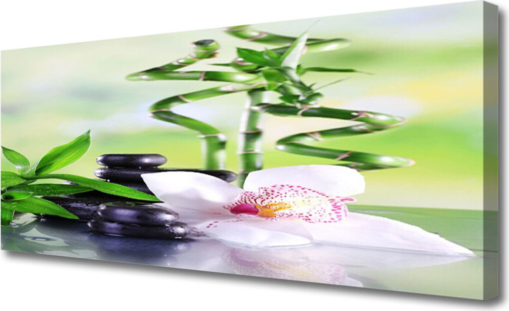 Tulup Leinwand-Bilder 125x50 Wandbild Canvas Kunstdruck Bambusrohre Blume Steine