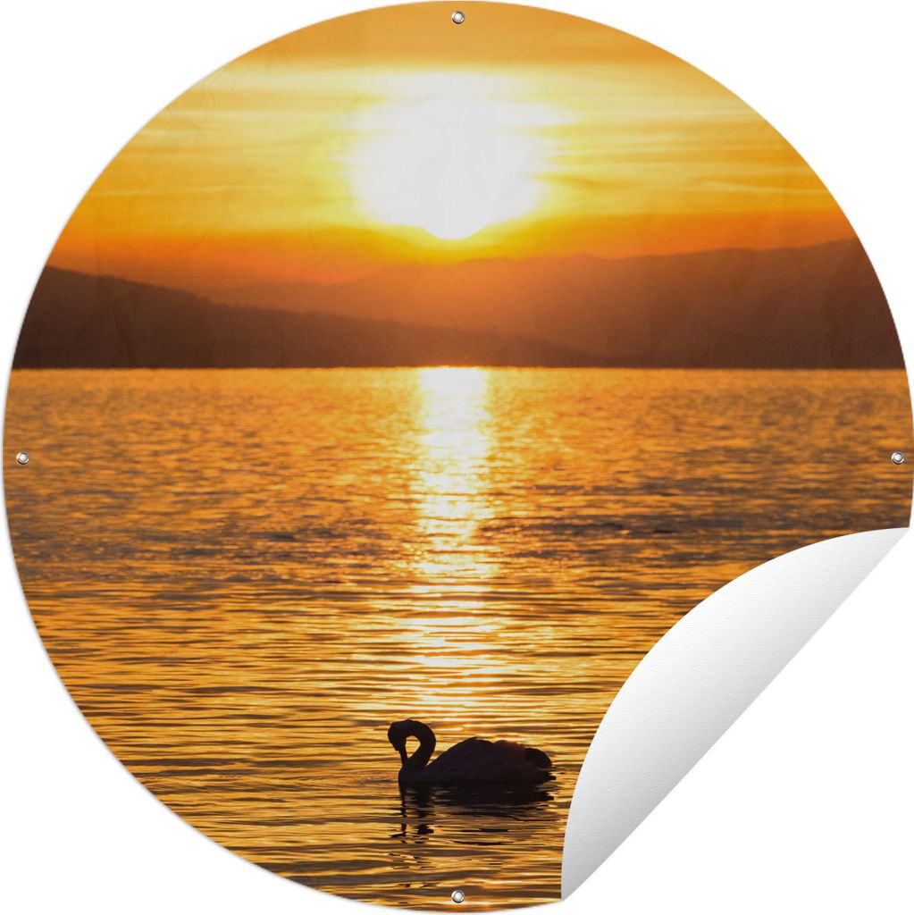 MuchoWow Gartenposter Outdoor-Poster Rund Schwan - Sonnenuntergang - Gold Ø 120 cm Gartendeko Rundes Poster draußen