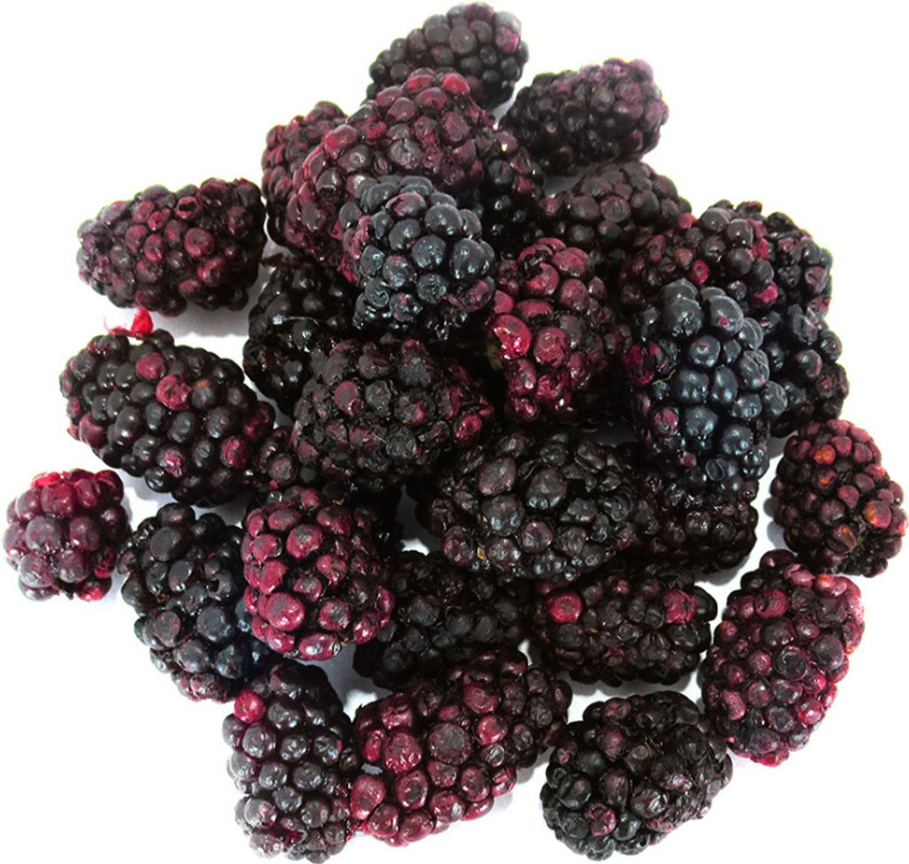 Knusprige Brombeere - ganze gefriergetrocknete Früchte 20g