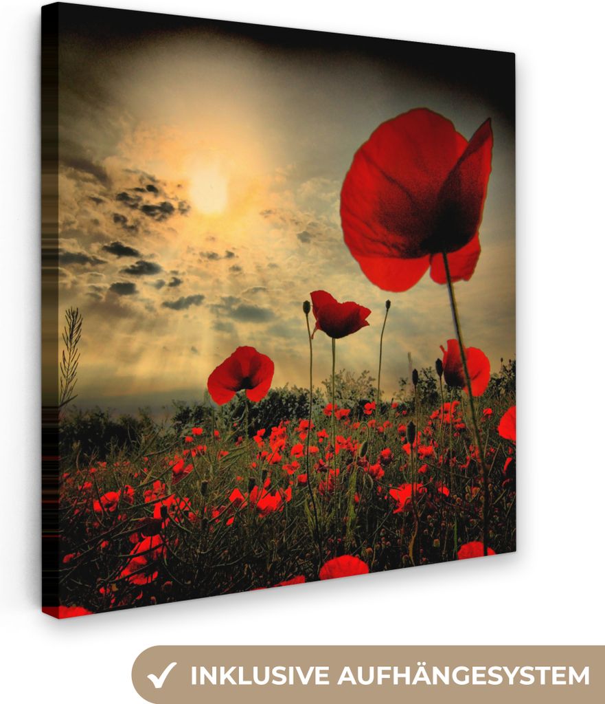 MuchoWow - Leinwandbilder - Mohnblumen am Abend, Wandbild, Wanddeko Bilder Wohnzimmer, 20x20 cm