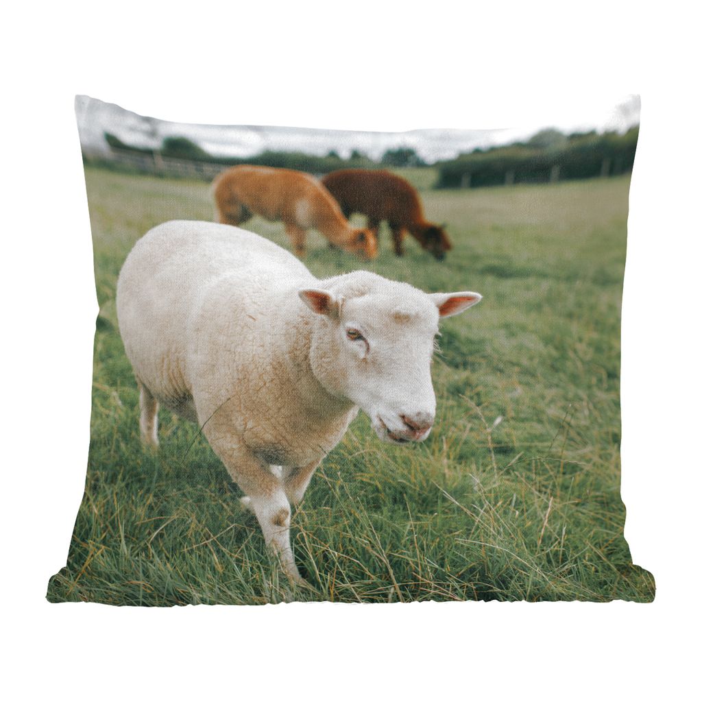 MuchoWow Zierkissen Sofakissen Wohnzimmer Dekokissen 45x45 cm Schafe - Tiere - Gras - Schlafpolster - Polster für das Sofa