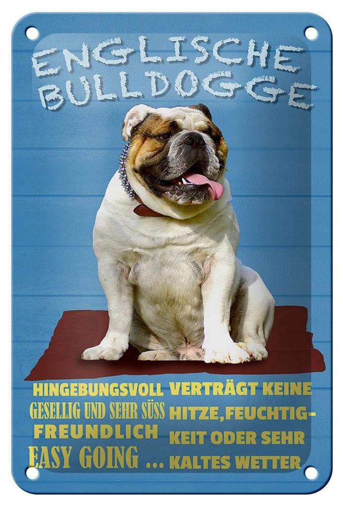 Blechschild Spruch 12x18cm Englische Bulldogge Hund süß