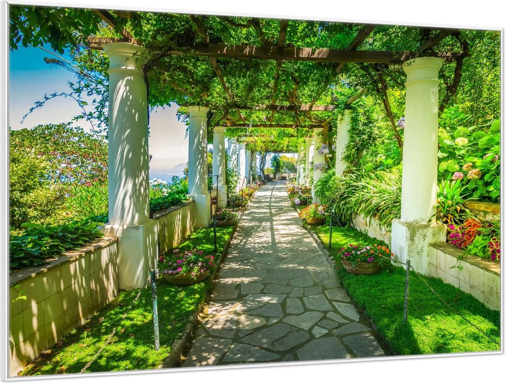 Wallario Wandbild Blühende Pergola, Größe: 61 x 91,50 cm, Poster mit weißem Aluminiumrahmen