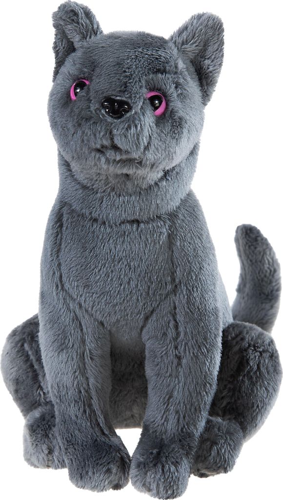 Heunec Schule der magischen Tiere Kater Karajan GRS klein Produktbild 