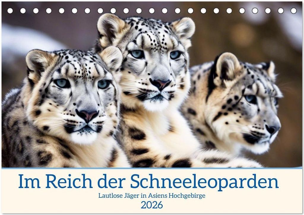 Im Reich der Schneeleoparden (Tischkalender 2026 DIN A5 quer), CALVENDO Monatskalender