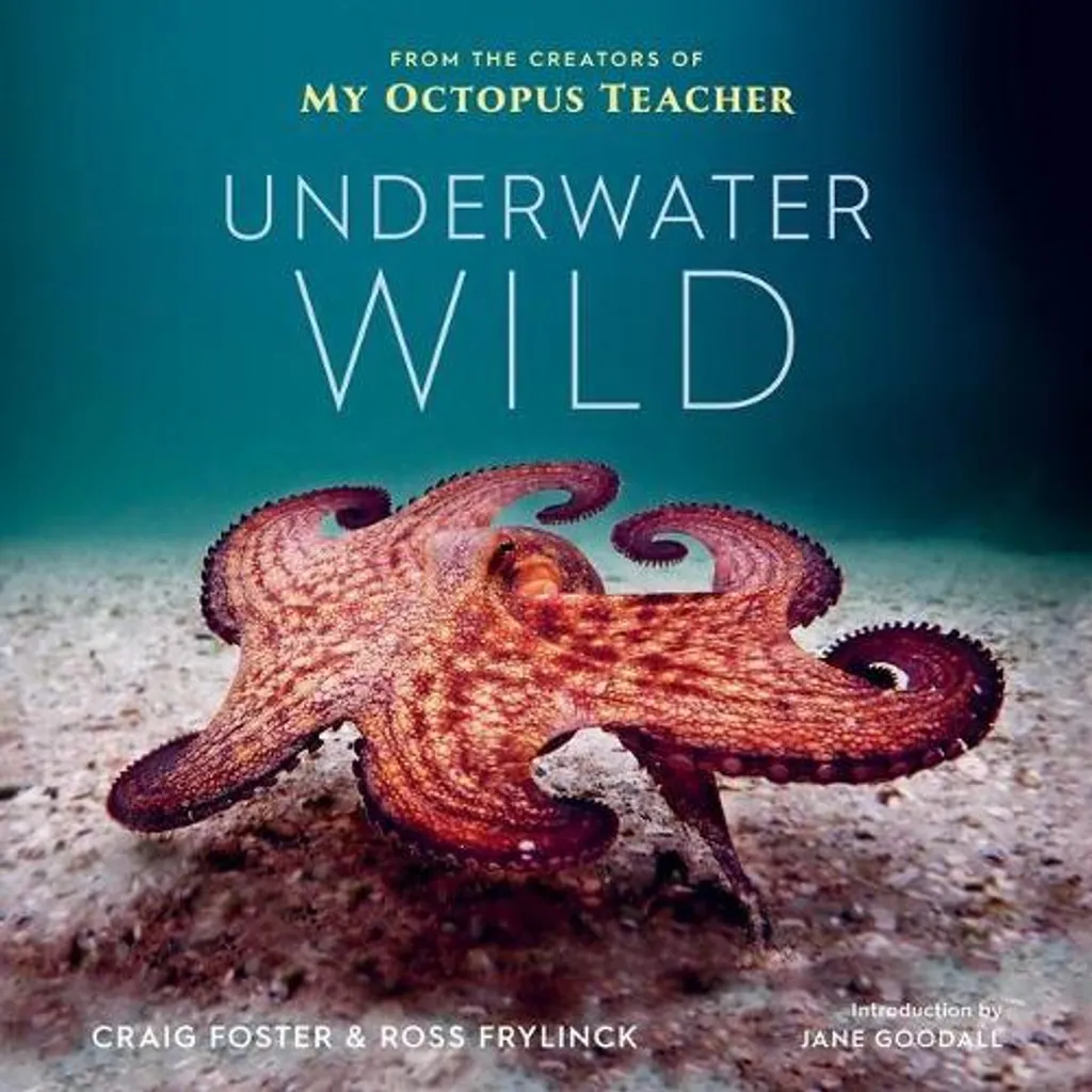 Livre de photographies maritimes Underwater Wild art et nature sauvage