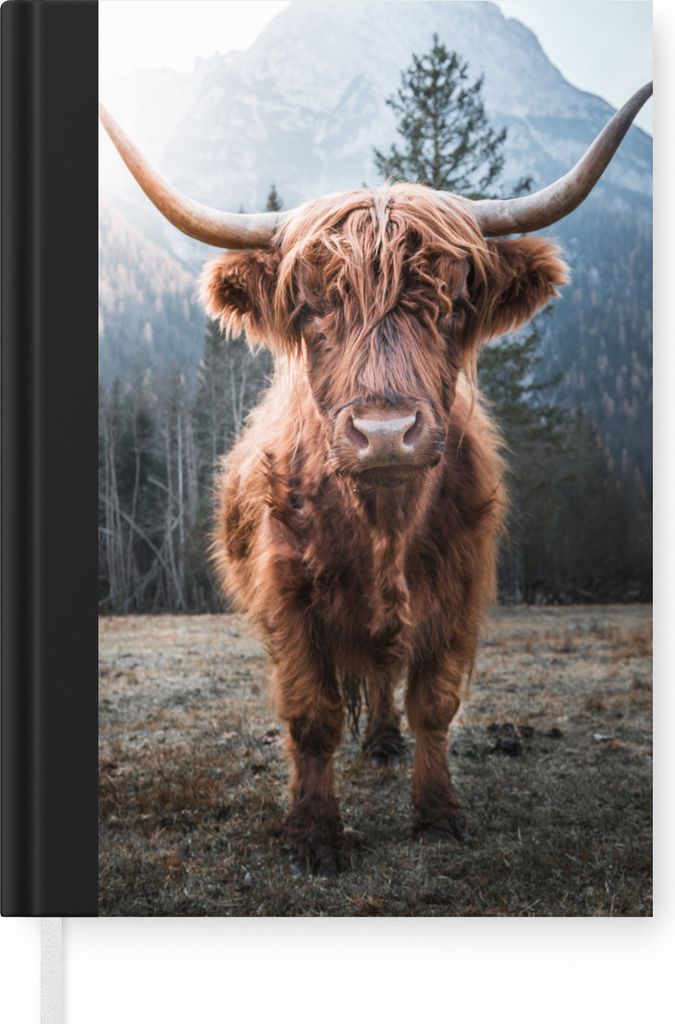 MuchoWow Notizbuch Tagebuch Haushaltsbuch Notebook A5 Schottischer Hochländer - Kuh - Tiere - Berg - Natur - Notizblock - Notizheft - Notebook -...