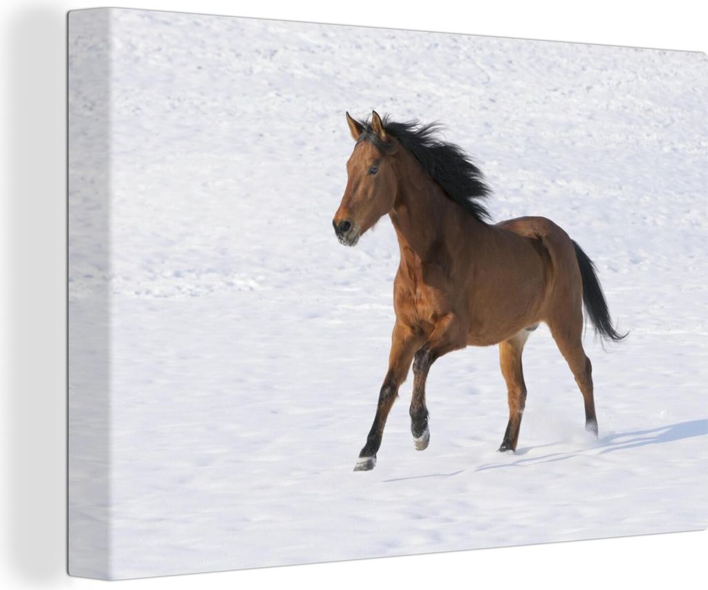OneMillionCanvasses - Leinwandbilder - Bild auf Leinwand Wandbild Leinwandbild Pferde - Schnee - Winter, 90x60 cm, Kunstdruck Wandkunst Gemälde ...