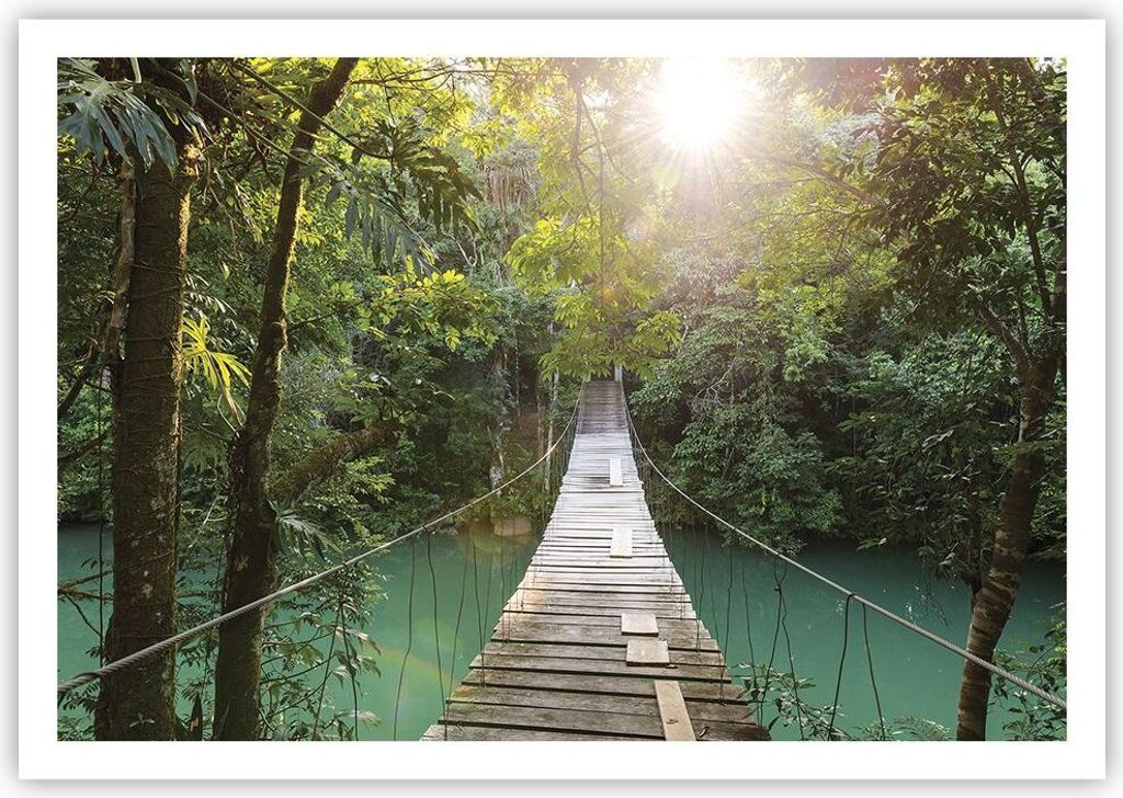 Poster - Poster ohne Rahmen - Brücke Seil Dschungel - 100x70 cm - Wand Bild - Wanddeko - Wandbilder - Kunstposter - Wandposter - Bilder - Kunstdru...