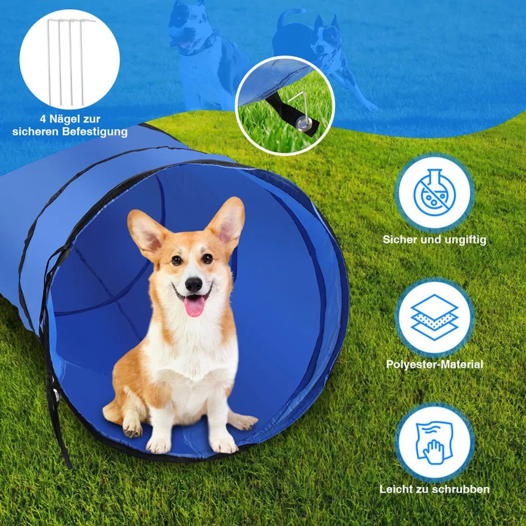 Set Agility Chien : Solution Contre l'Ennui et Manque d'Exercice Canin