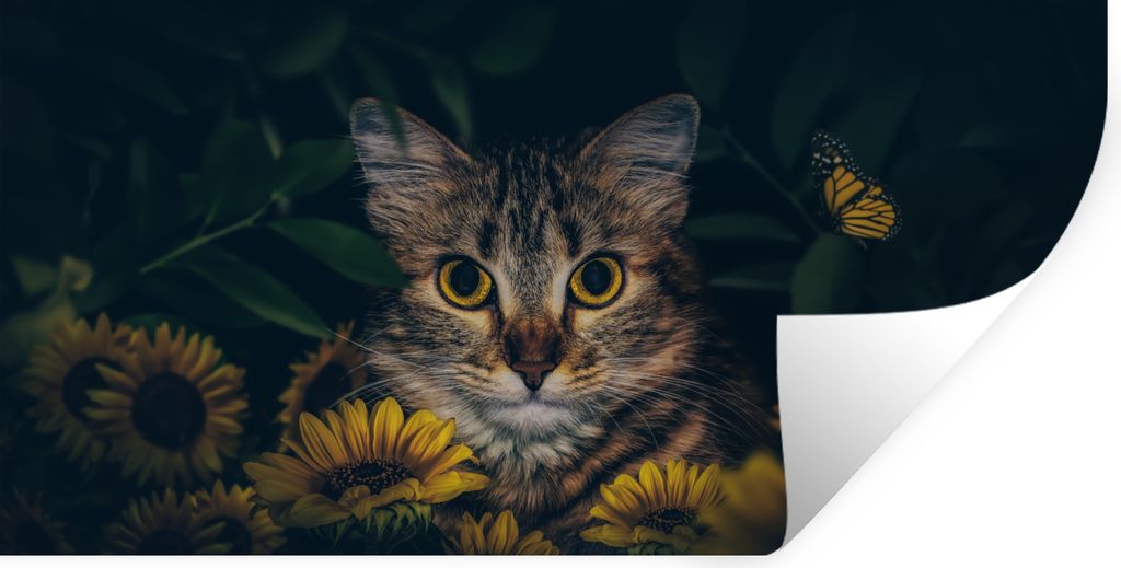 MuchoWow Wandtattoo Wandsticker Wandaufkleber Katze - Gelb - Blumen - Botanisch 160x80 cm Selbstklebend und Repositionierbar - Sticker - Dekorfolie