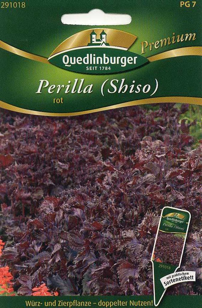 Quedlinburger Saatgut - Perilla rot - Samen - 291018 Produktbild 
