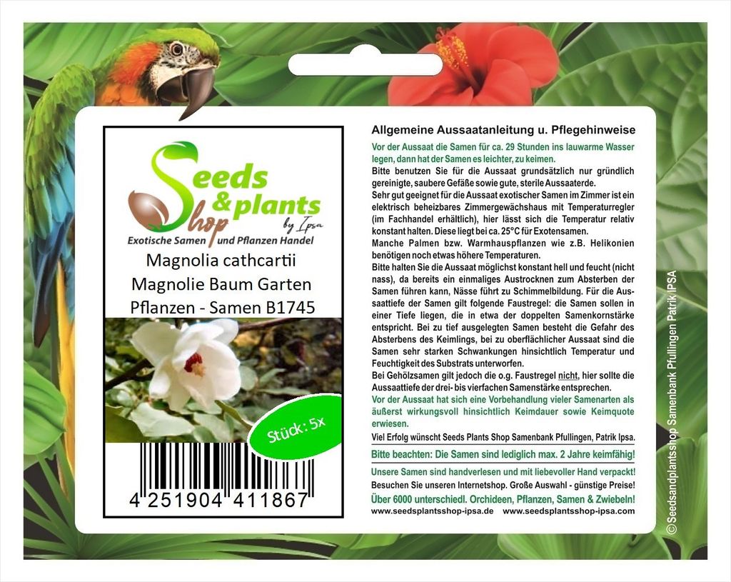 5x Magnolia cathcartii Magnolie Baum Garten Pflanzen - Samen B1745