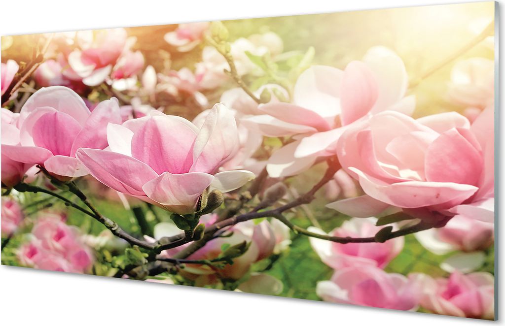 Spritzschutz 100x50 Wandkunst Blumen