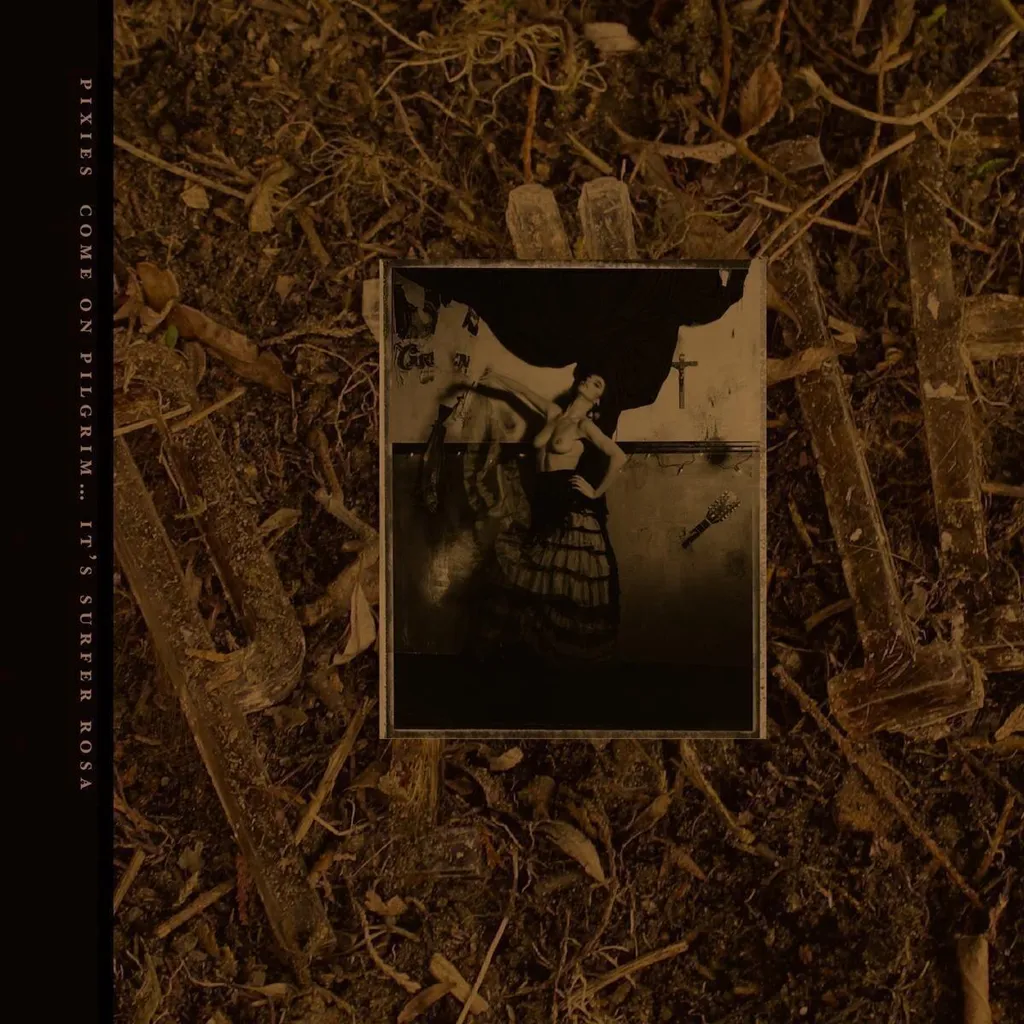 Vinyle Or Édition Limitée Pixies Surfer Rosa et Come On Pilgrim 30th Anniversary