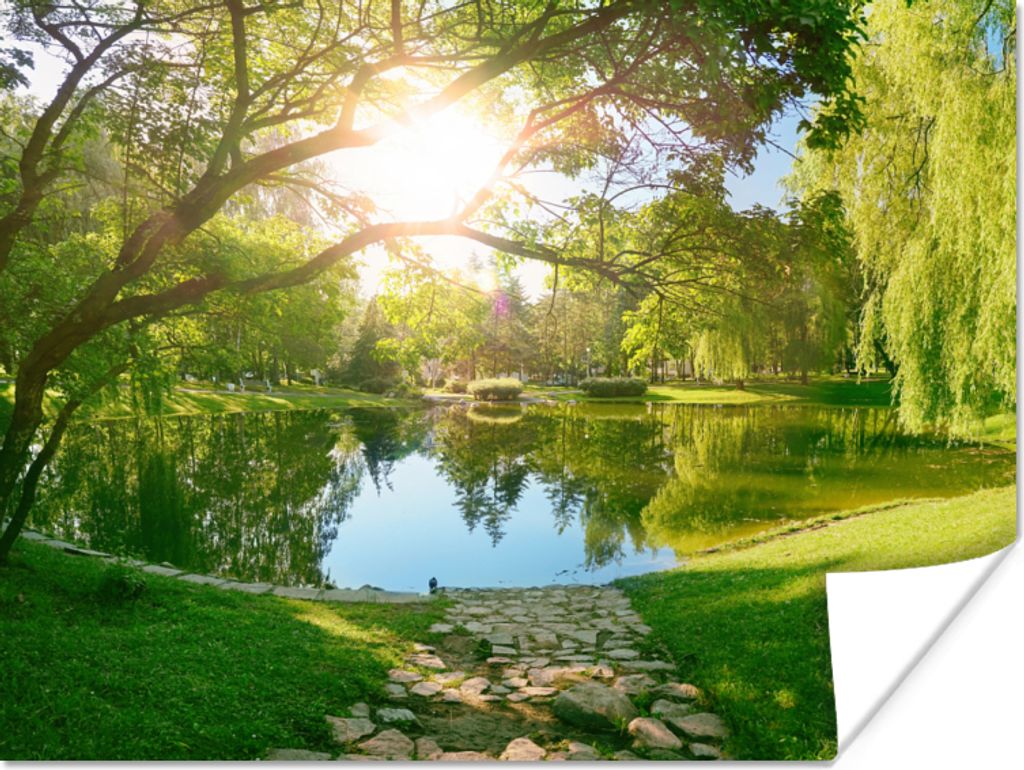 MuchoWow Poster Bäume - See - Sonne - Gras - Natur 120x90 cm - Wandbild