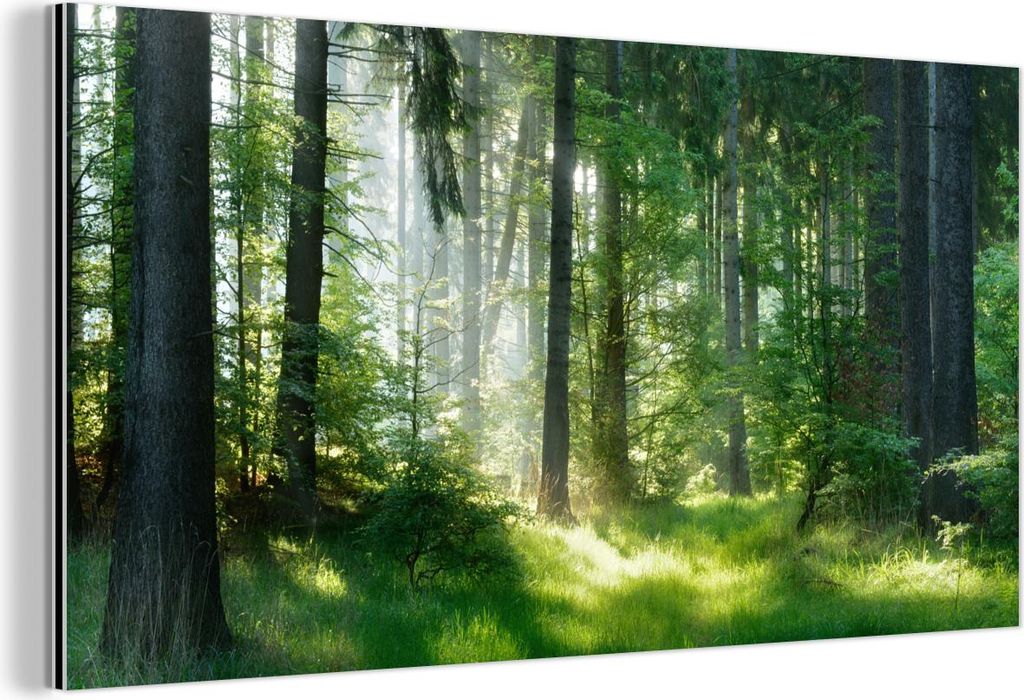 MuchoWow Wanddekoration Metall Metallbild Wandkunst 40x20 cm Natur - Bäume - Wald - Grün - Sonne - Gras - Pflanzen MuchoWow Aluminium Gemälde - ...